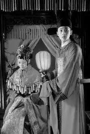 新商报数字报刊平台