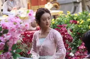 范冰冰和林志玲同框该站谁赵丽颖的古装造型总是衬托颜值
