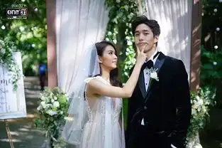 视频网站抢滩泰剧版权费低,观众缘好,但也是无奈之举
