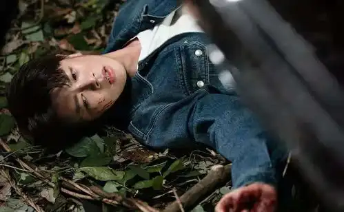 乌鸦小姐第1集为自己选墓地,一心求死,任嘉伦这回人设真绝了