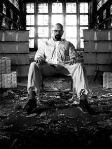 第65届艾美奖绝命毒师折桂谢耳朵三夺视帝
