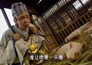 这部童年回忆,充满了多少欢笑与泪水
