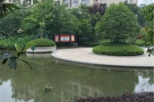 金科廊桥水岸优点不足,金科廊桥水岸怎么样,金科廊桥水岸周边房产中介经纪人评价