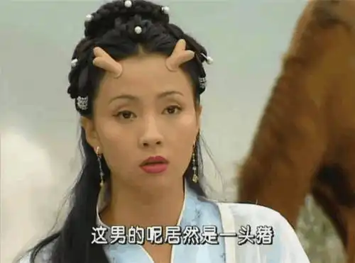 春光灿烂猪八戒演员现状,嫦娥变大妈,而他这辈子没机会演戏
