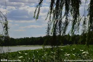 颐和园风景图片
