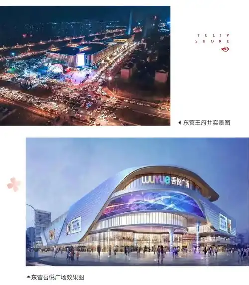 理想之城给东营一次对标一线城市豪宅的底气