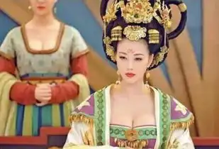 网友恶搞剪胸版武媚娘传奇
