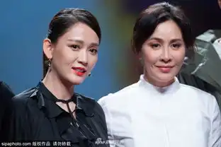 组图陈乔恩御姐范亮相捧场刘嘉玲时装秀台下与郑元畅热聊
