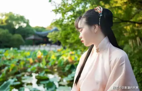 中国最美的十大名诗,一生至少要读一次