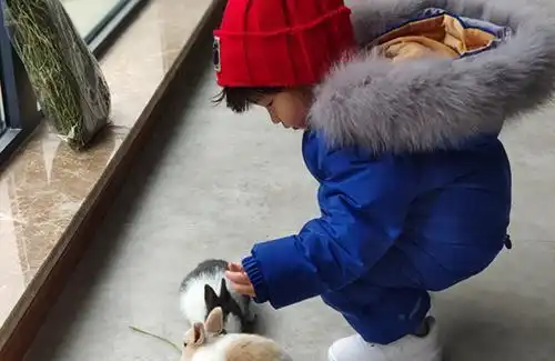 快乐星球童星现状有两位已经结婚,她的孩子都能打酱油了
