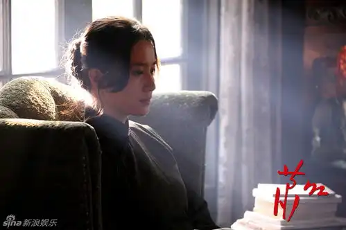 组图萧红海报剧照集