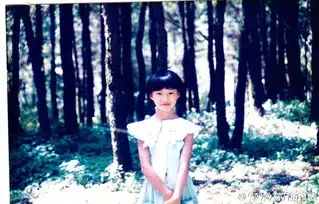 无名之辈中的按摩女高考曾拿628分