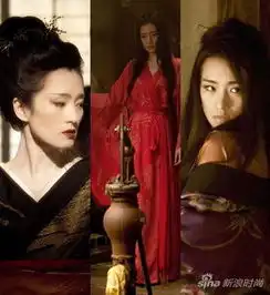 李冰冰变4高冷御姐细数中国女星好莱坞打酱油
