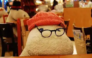 一个人吃饭要怎么装作一点都不寂寞的样子