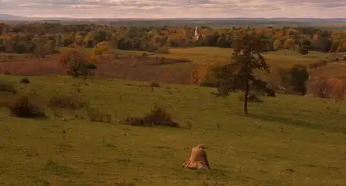 失恋后再也不想恋爱吗心理自助手册