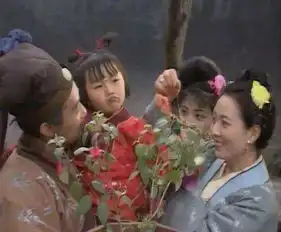 新解红楼梦香菱被父亲甄士隐故意丢弃
