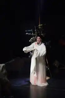 扶青精品特别推荐我,哈姆雷特
