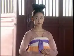 胡静参演电视作品19982003
