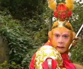 男到中年,活成了一部西游记,看完扎心了