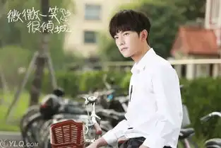 你怎么看杨洋出演全职高手,他可以完美表现叶修一角吗
