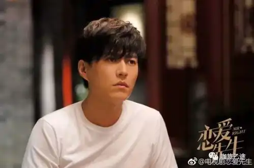 恋爱先生完结篇