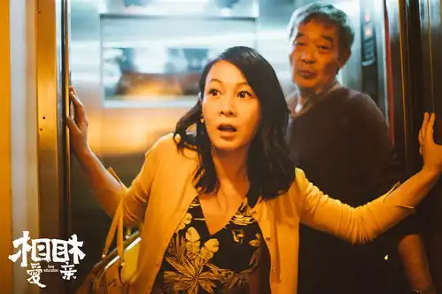 张艾嘉x刘若英未完的故事就继续说着,念念不忘
