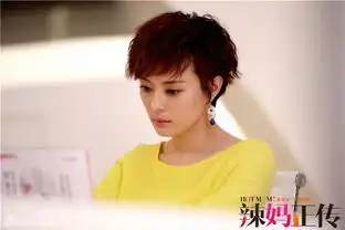 孙俪辣妈正传剧照
