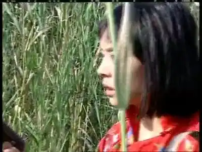 小兵张嘎刘燕给个图片剧照