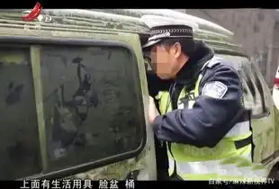 女大学生毕业后从天堂坠落地狱,蜗居废旧面包车,弟弟打击太大