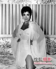 剧照集纪念伊丽莎白泰勒从童星到贵妇
