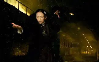 章子怡,你太狂了
