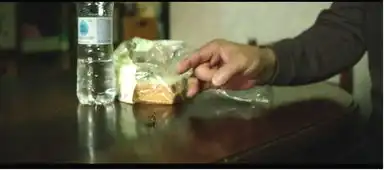 寄生虫的bug,小偷家族和无耻之徒给出另一种答案
