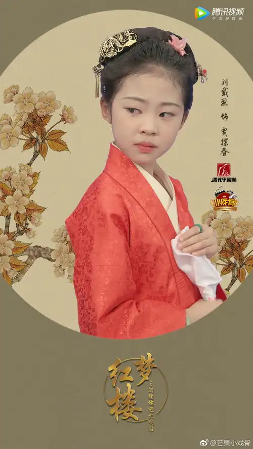 有没有期待小戏骨红楼梦的新增邢夫人平儿紫鹃等
