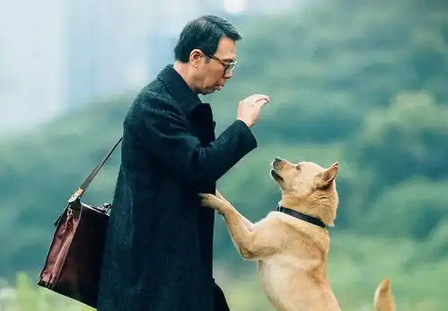 去年争议不断的6部电影,第一部被高估了,你踩坑了吗
