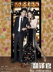 亲爱的翻译官剧照