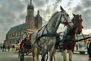 东欧波奥捷斯匈5国11日游布拉格,美泉宫,寻茜茜公主
