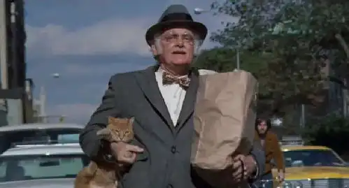 当流浪猫遇到落魄的街头歌者......