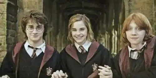 哈利波特分院测试中文版
