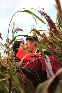 红高粱周迅朱亚文激情戏剧照曝光