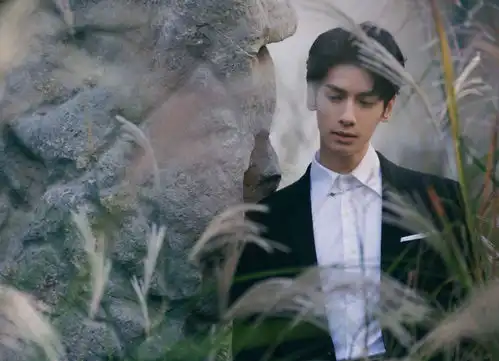 半是蜜糖半是伤热播后,罗云熙新剧开机,搭档人间芭比的她