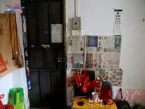 空巢青年蜗居出租屋理想背后几多挣扎