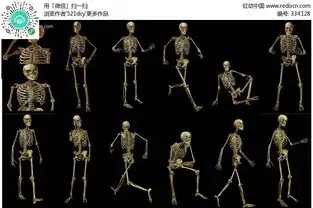 骷髅人图片素材大全psd免费下载红动网
