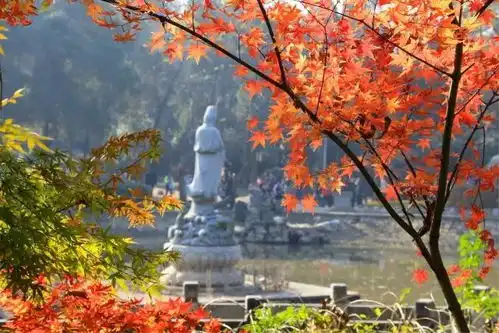 今天起,南京将成为全国超超超超超美的城市
