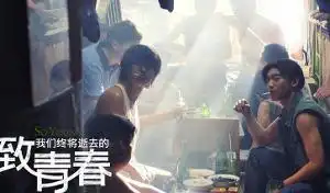 致我们终将逝去的青春2013年赵薇执导电影