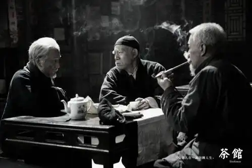 严肃文学改编剧,到底应该怎么拍丨国剧新观察
