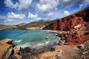 玛瑙红沙滩鱼翅粥