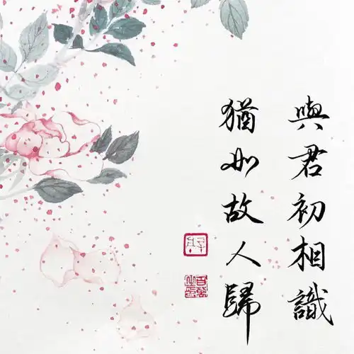 游戏
