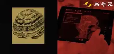 黑客帝国将重现人脑植入纳米机器人,秒速获取所有知识