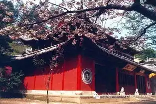 2月2日初六永康公婆岩五峰穿越游射雕英雄传取景地石鼓寮
