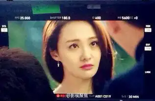 郑爽获最佳女主角引质疑容貌又变样
